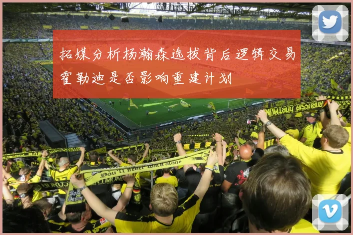拓媒分析杨瀚森选拔背后逻辑交易霍勒迪是否影响重建计划